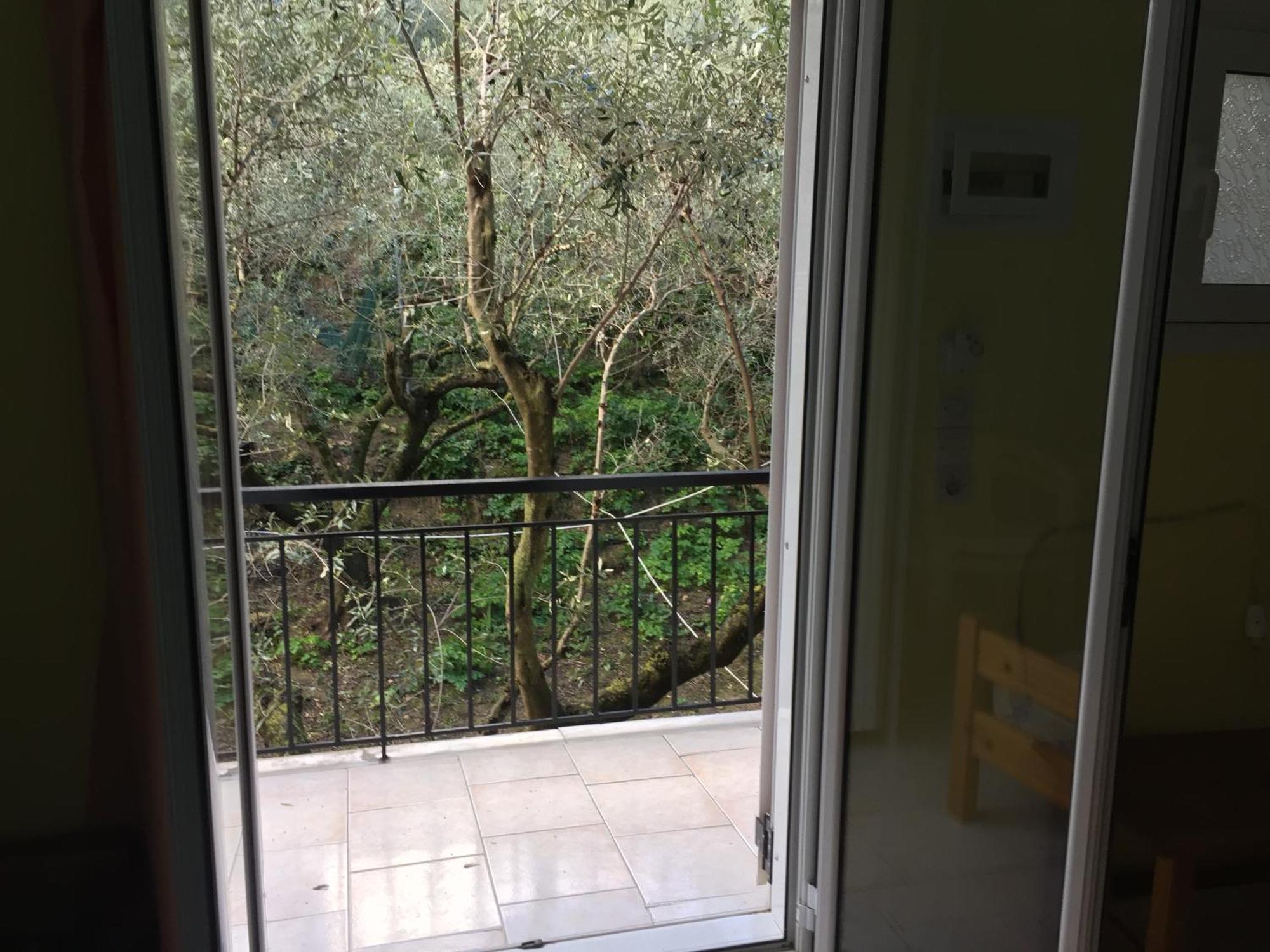Belvedere Zakynthos Studios Vasilikós Room photo
