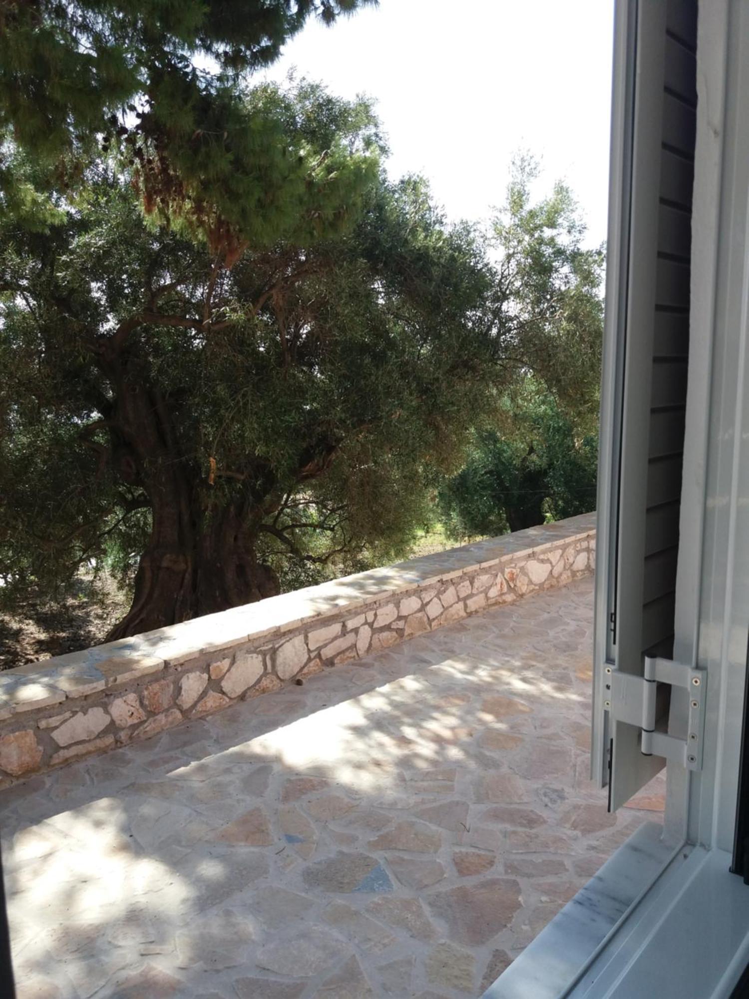 Belvedere Zakynthos Studios Vasilikós Room photo